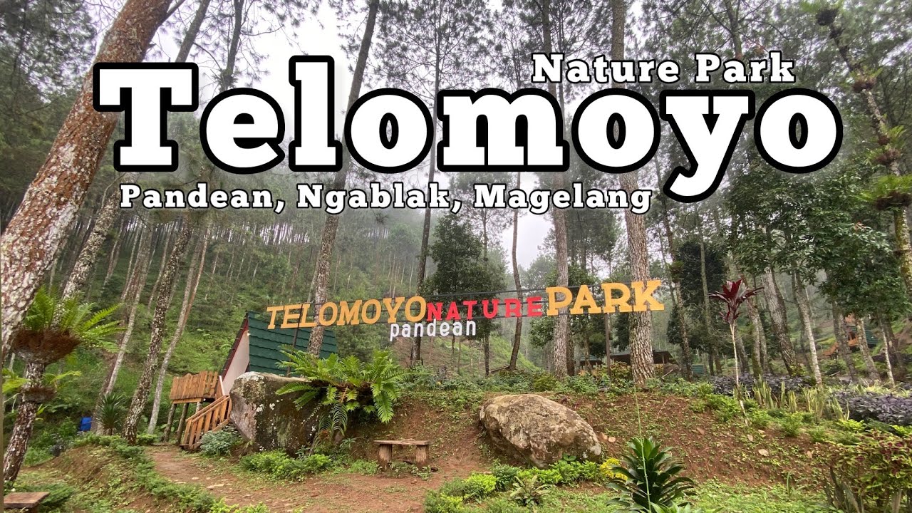 Telomoyo Nature Park: Petualangan Menakjubkan di Puncak Gunung